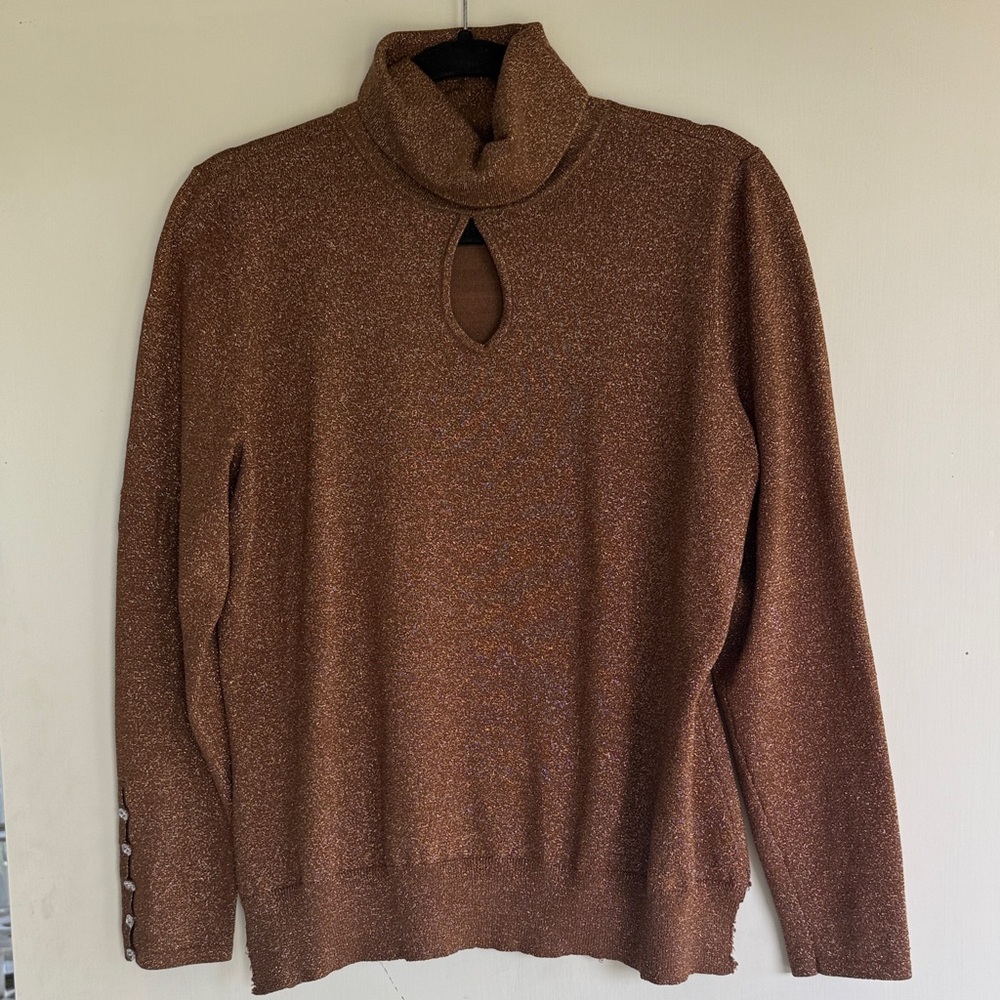 Brown & Glitter Gold Turtleneck Sweater